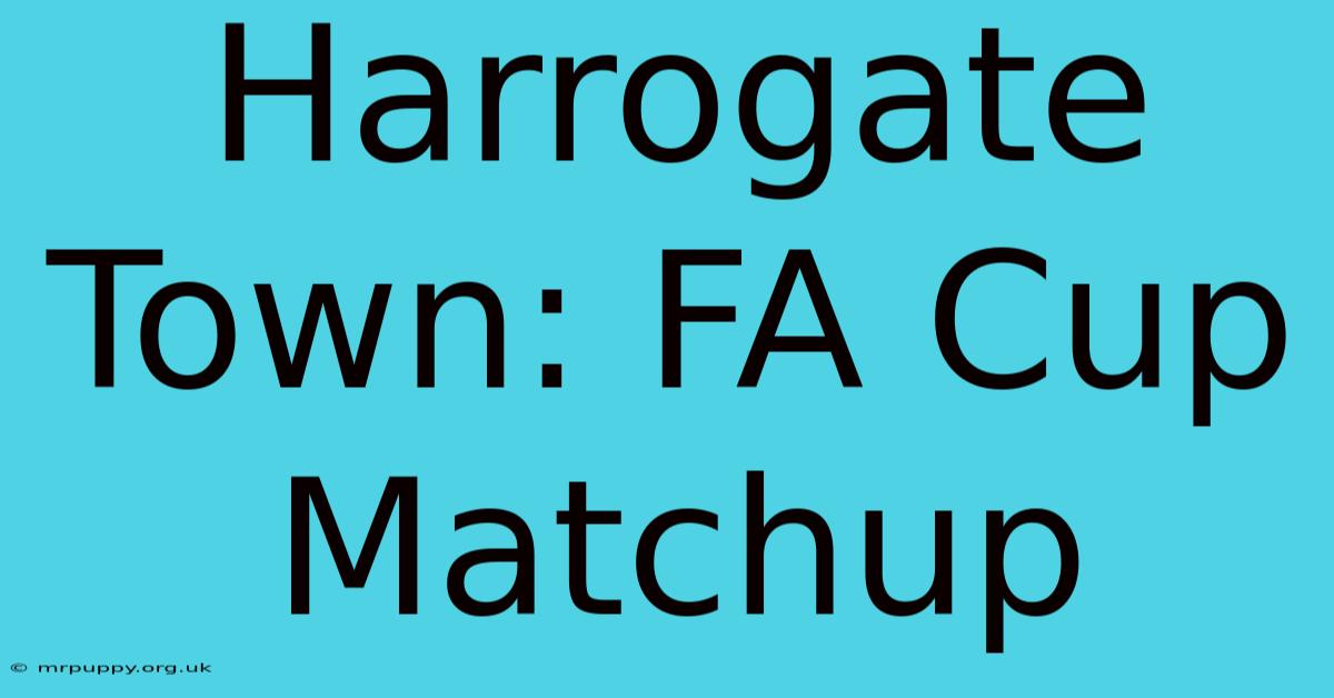 Harrogate Town: FA Cup Matchup