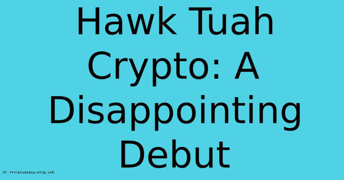 Hawk Tuah Crypto: A Disappointing Debut