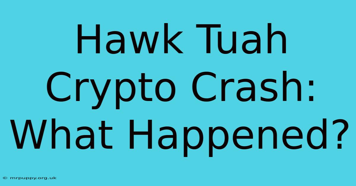 Hawk Tuah Crypto Crash: What Happened?