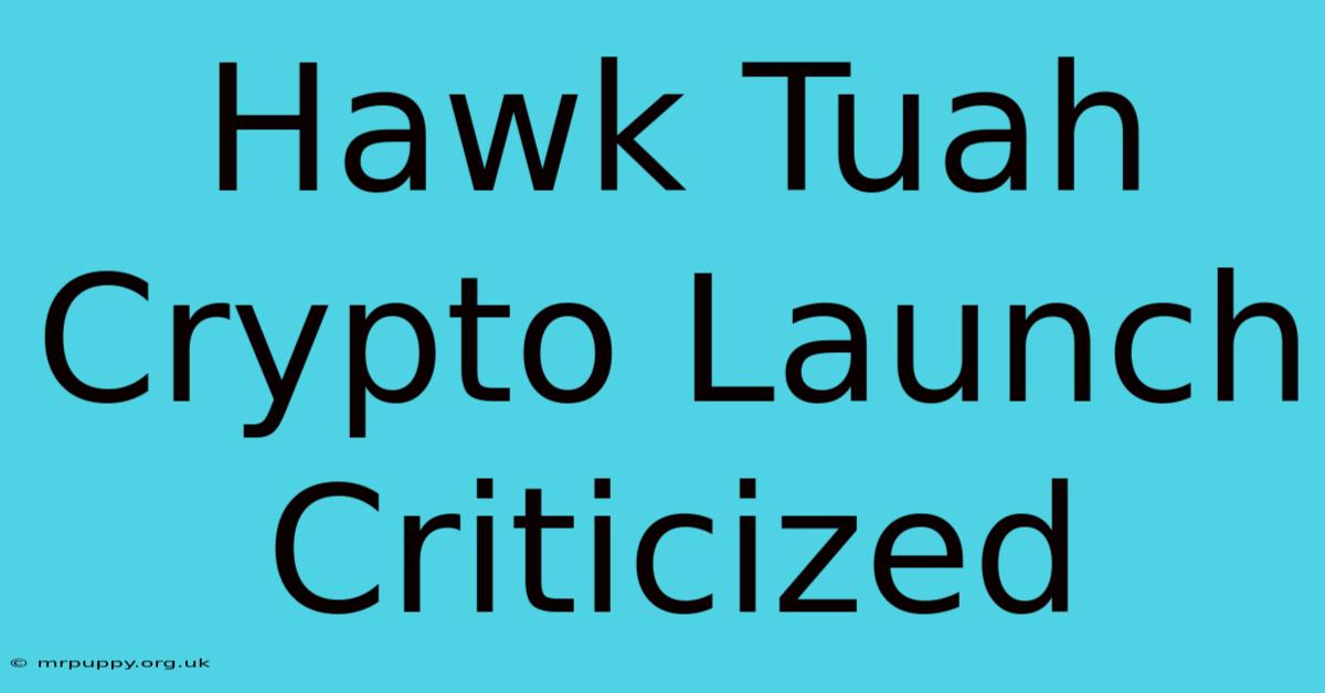 Hawk Tuah Crypto Launch Criticized