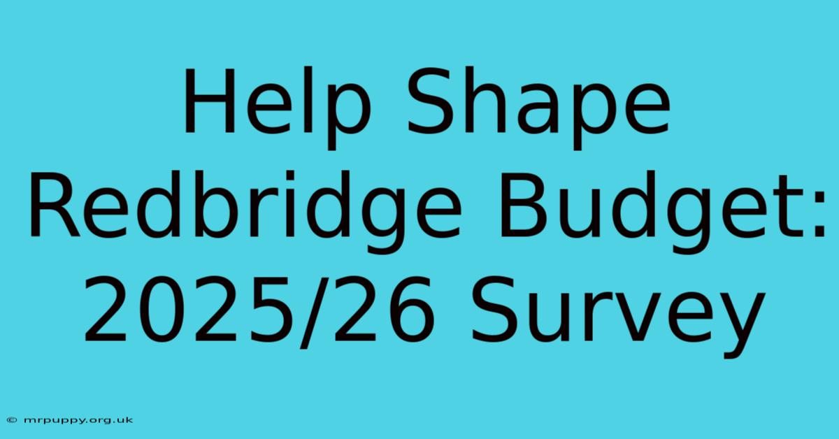 Help Shape Redbridge Budget: 2025/26 Survey 