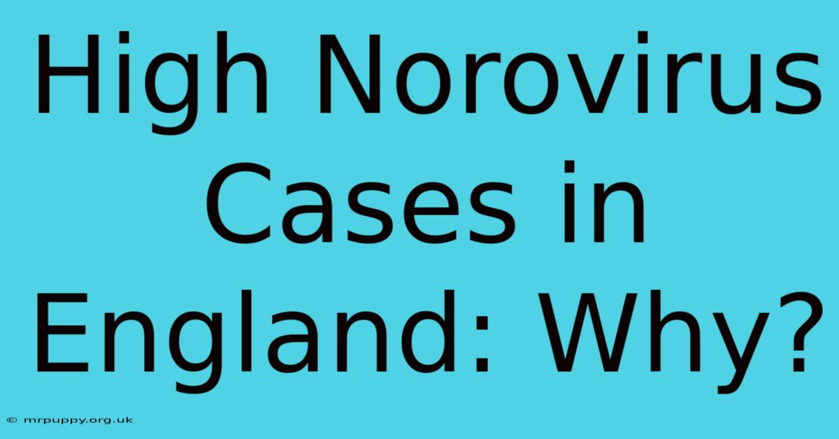 High Norovirus Cases In England: Why?