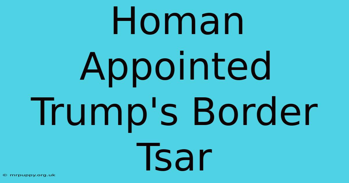 Homan Appointed Trump's Border Tsar