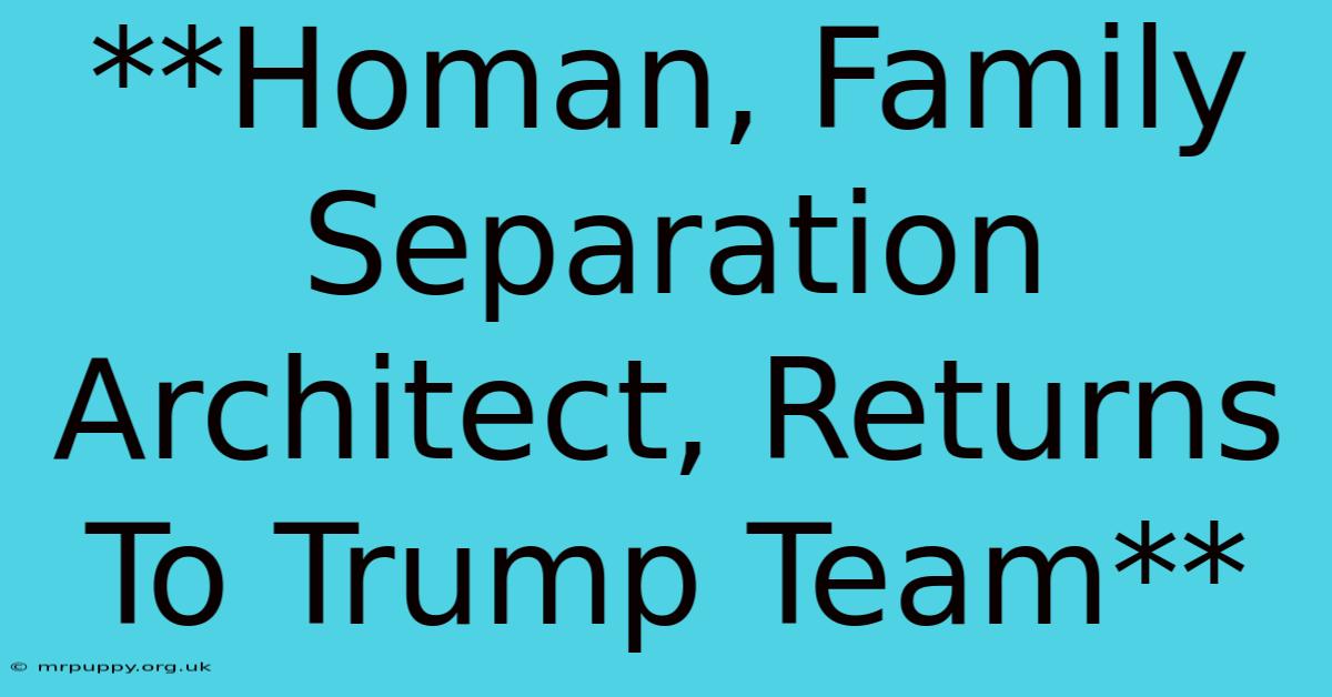 **Homan, Family Separation Architect, Returns To Trump Team**