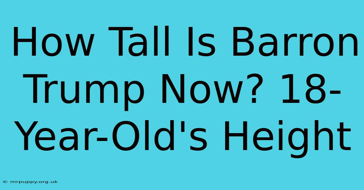 How Tall Is Barron Trump Now? 18-Year-Old's Height 