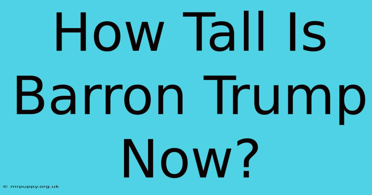 How Tall Is Barron Trump Now?  