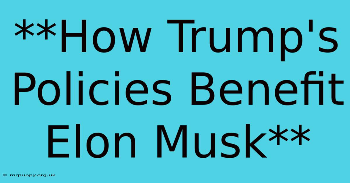 **How Trump's Policies Benefit Elon Musk** 