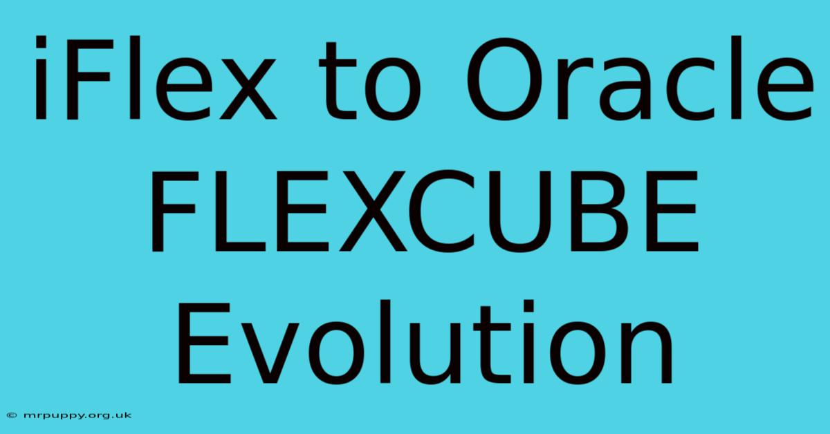 IFlex To Oracle FLEXCUBE Evolution