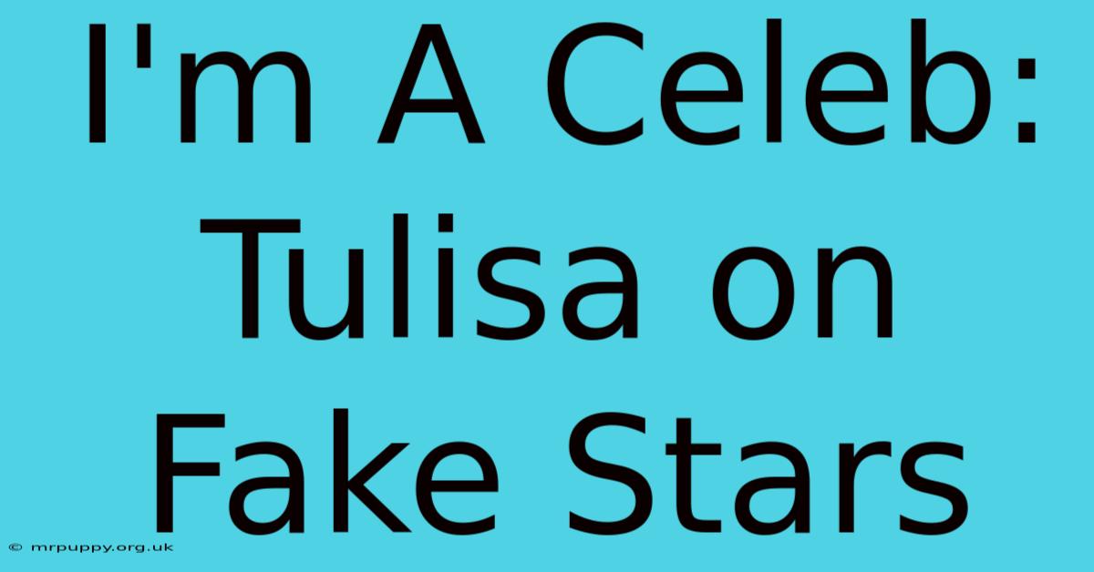 I'm A Celeb: Tulisa On Fake Stars