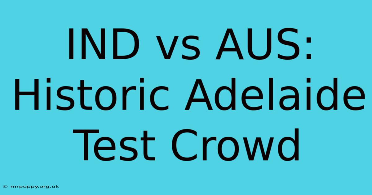 IND Vs AUS: Historic Adelaide Test Crowd