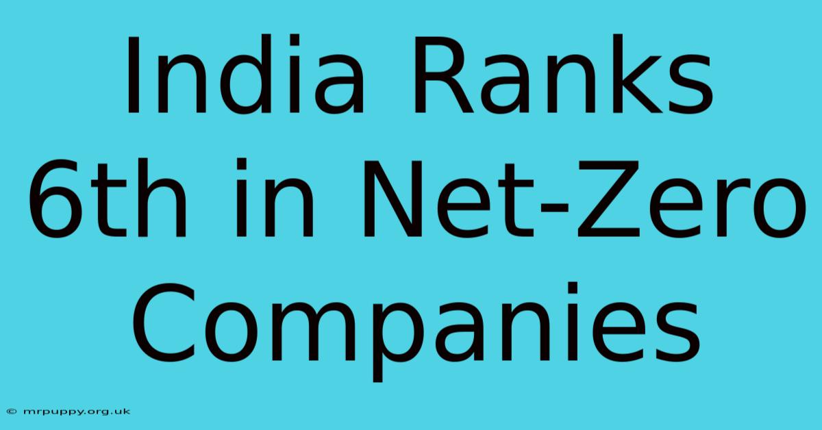 India Ranks 6th In Net-Zero Companies