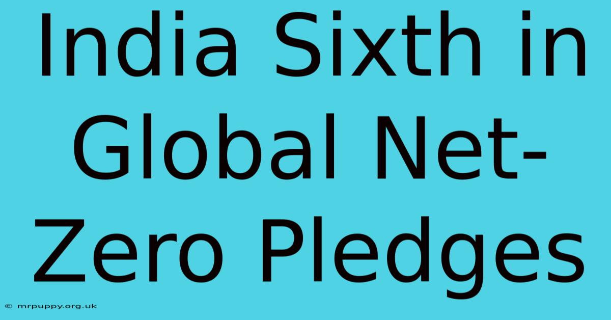 India Sixth In Global Net-Zero Pledges