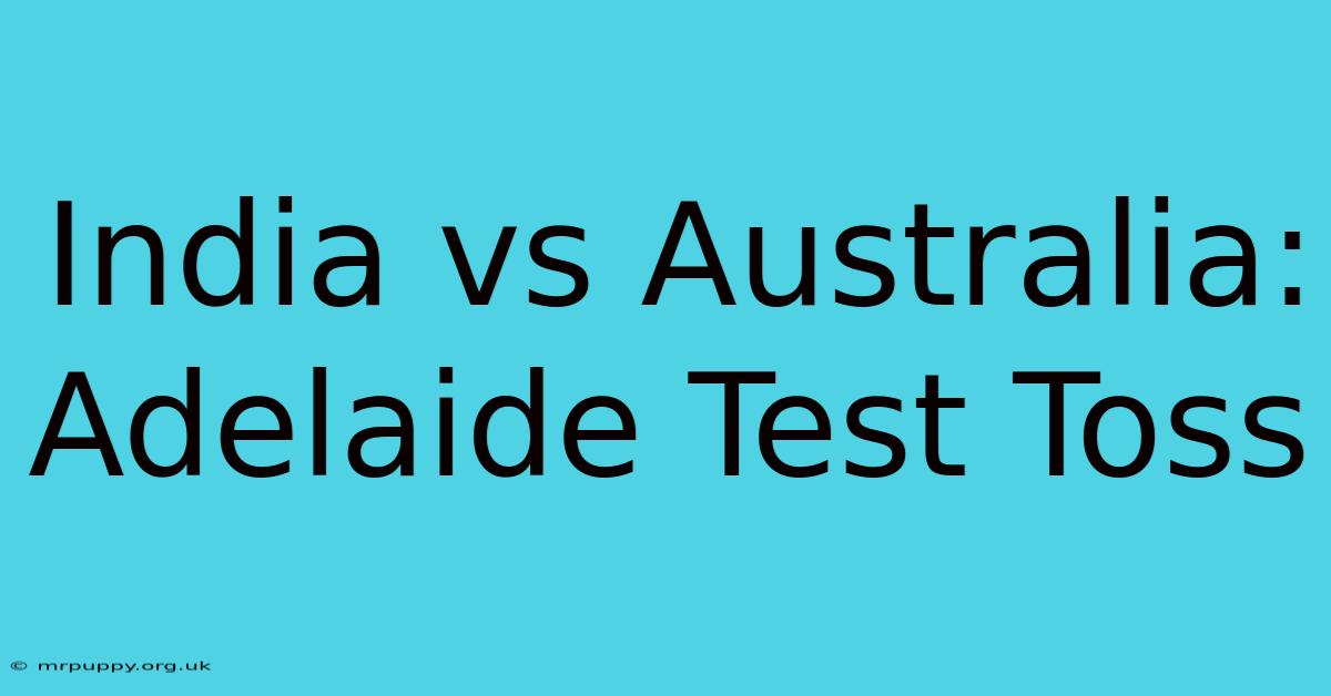 India Vs Australia: Adelaide Test Toss