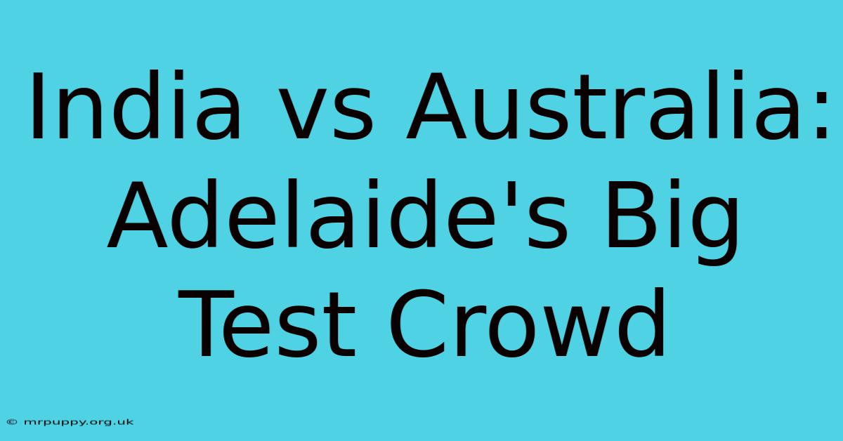 India Vs Australia: Adelaide's Big Test Crowd