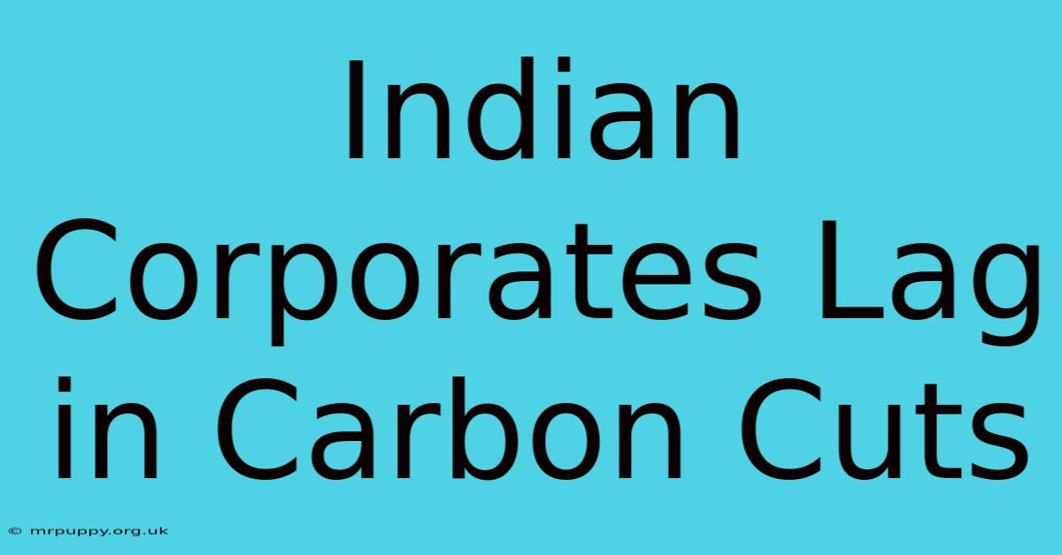 Indian Corporates Lag In Carbon Cuts