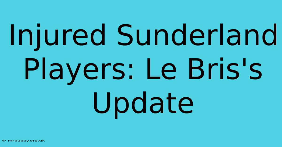 Injured Sunderland Players: Le Bris's Update