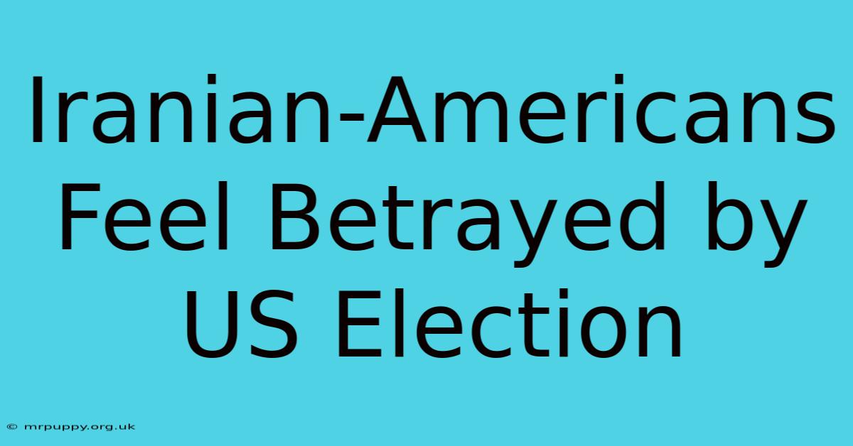 Iranian-Americans Feel Betrayed By US Election