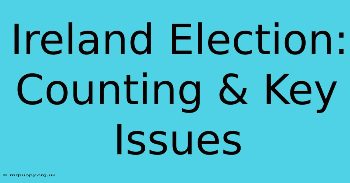 Ireland Election: Counting & Key Issues