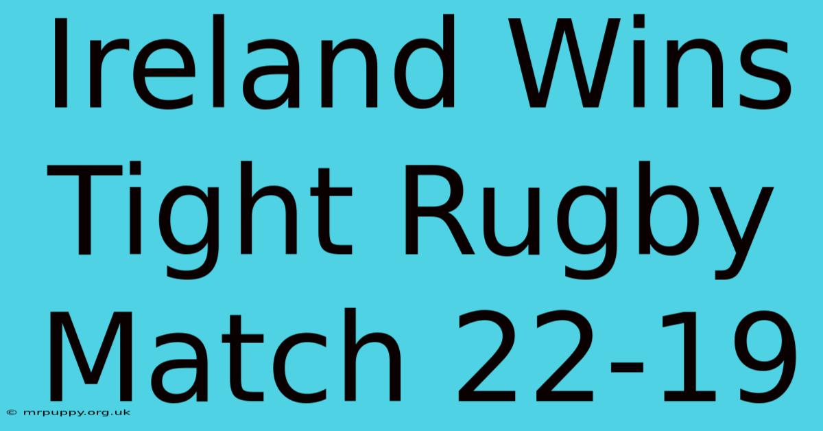 Ireland Wins Tight Rugby Match 22-19