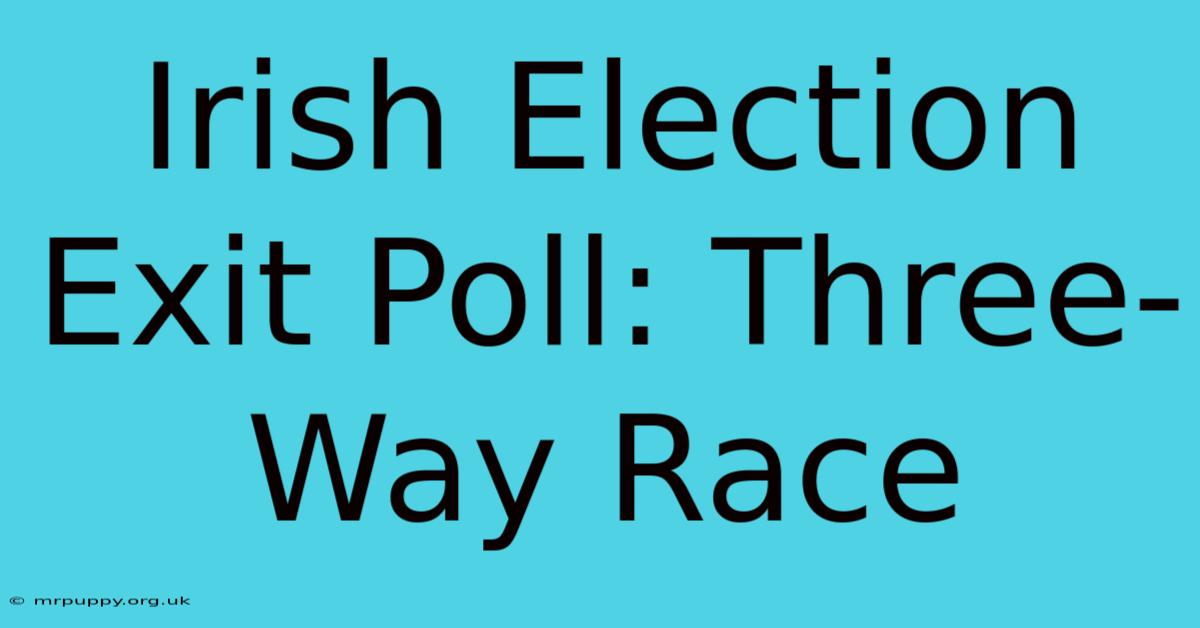 Irish Election Exit Poll: Three-Way Race