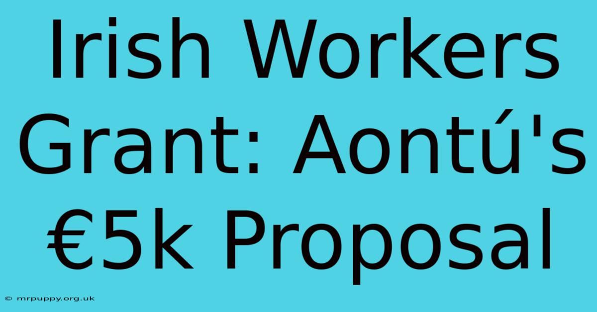 Irish Workers Grant: Aontú's €5k Proposal