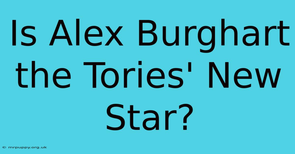 Is Alex Burghart The Tories' New Star?