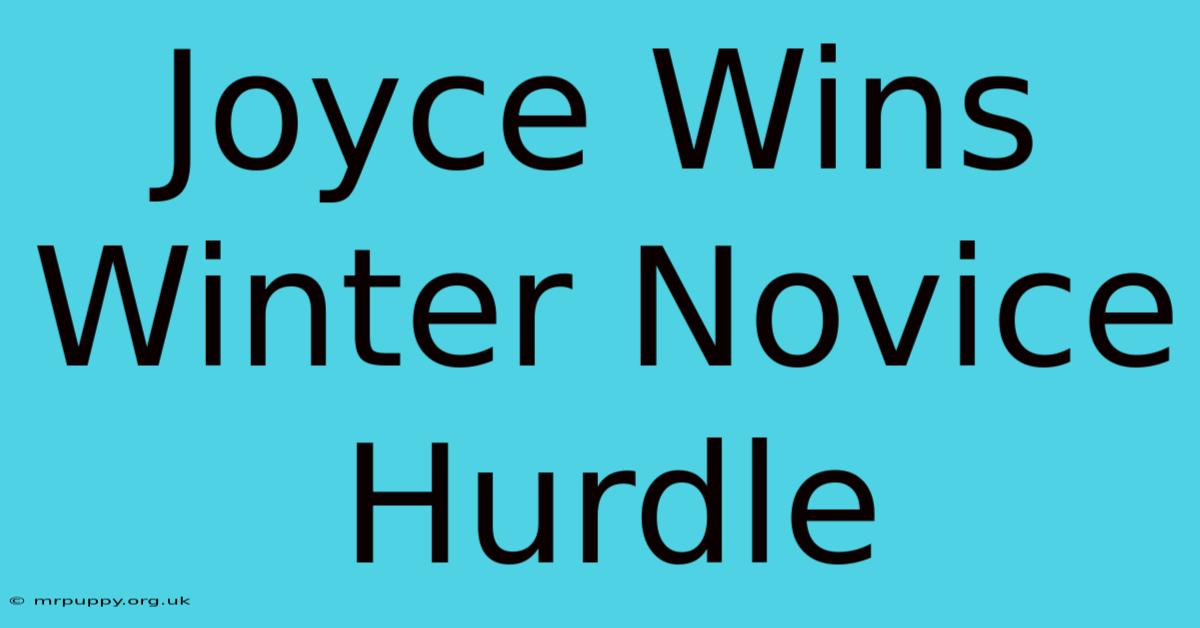 Joyce Wins Winter Novice Hurdle