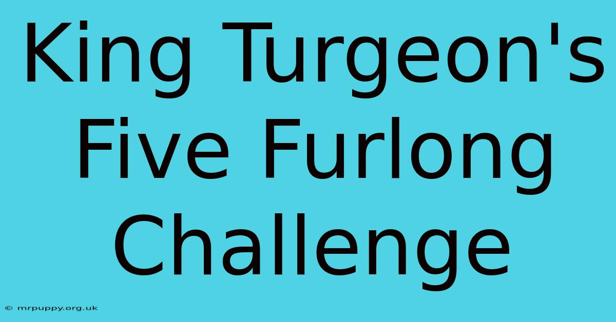 King Turgeon's Five Furlong Challenge