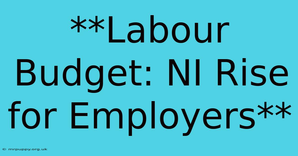 **Labour Budget: NI Rise For Employers**