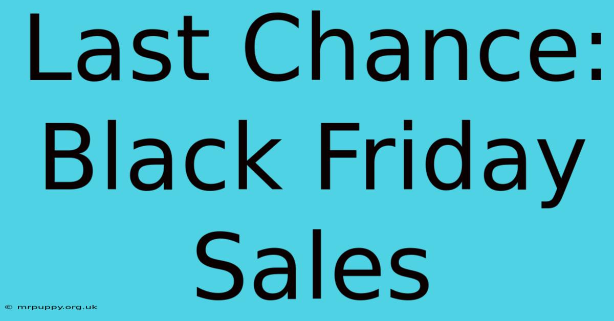 Last Chance: Black Friday Sales