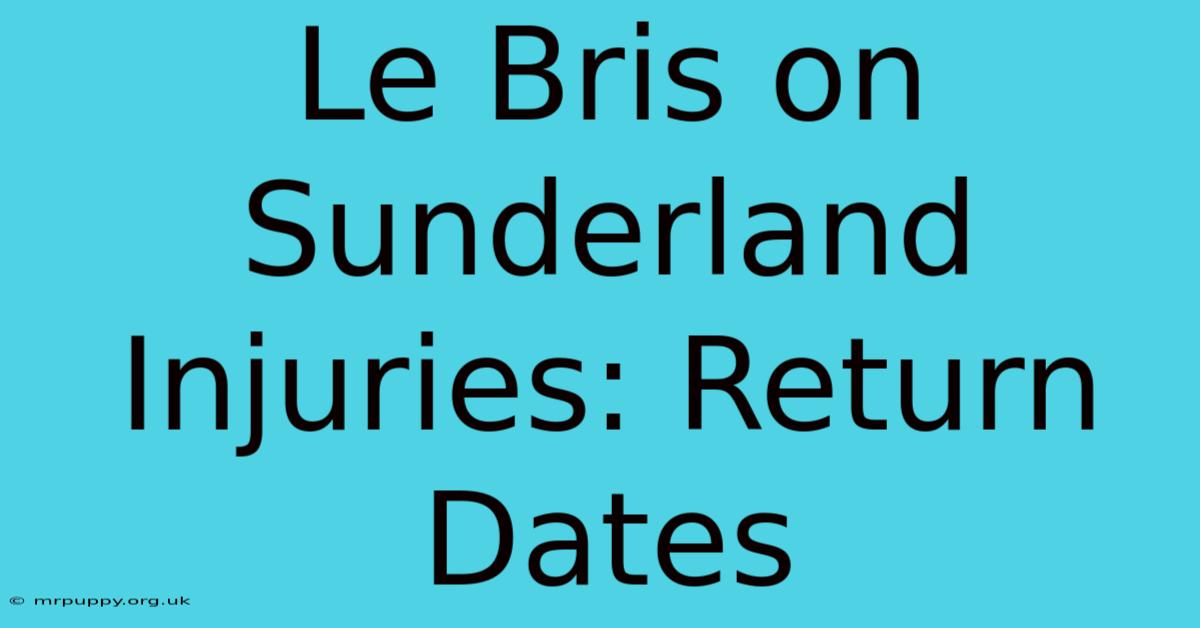 Le Bris On Sunderland Injuries: Return Dates