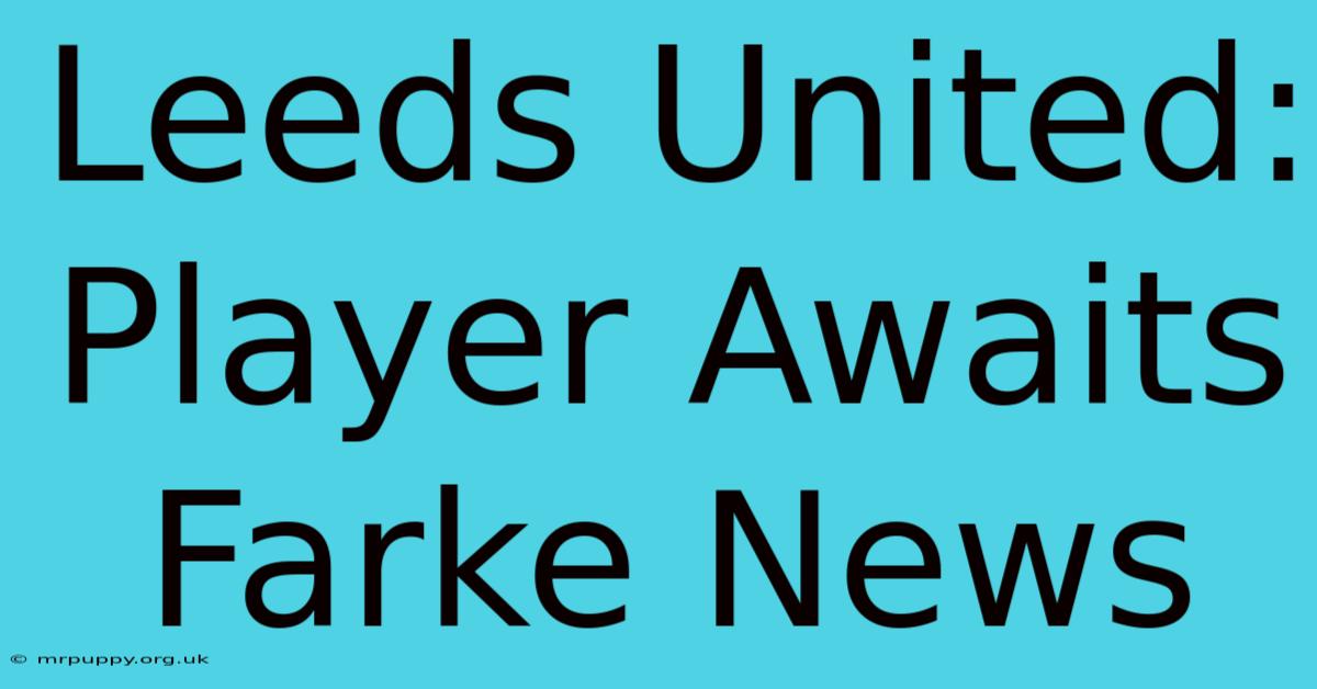 Leeds United: Player Awaits Farke News