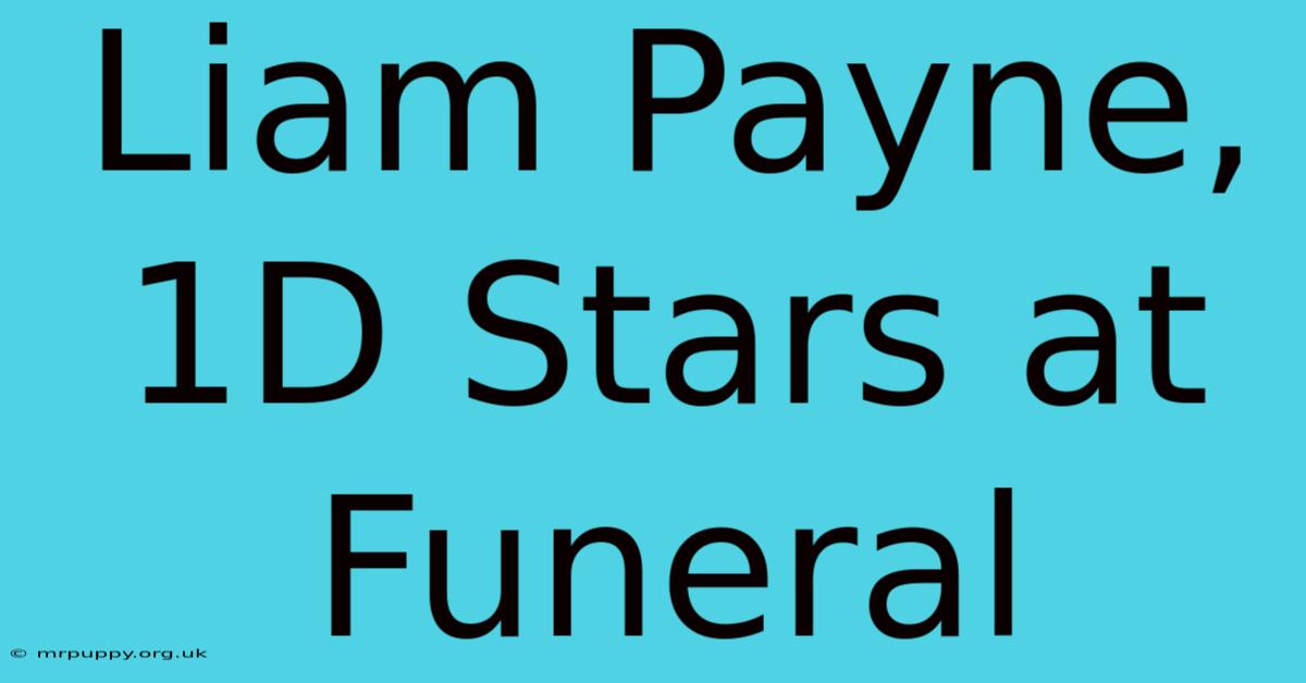 Liam Payne, 1D Stars At Funeral