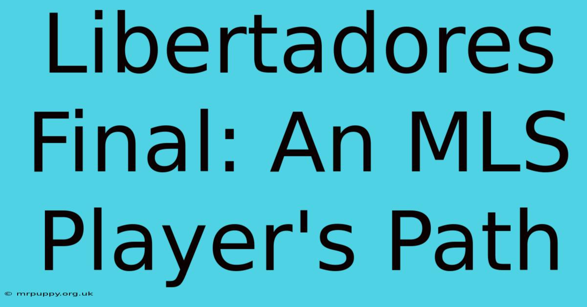 Libertadores Final: An MLS Player's Path