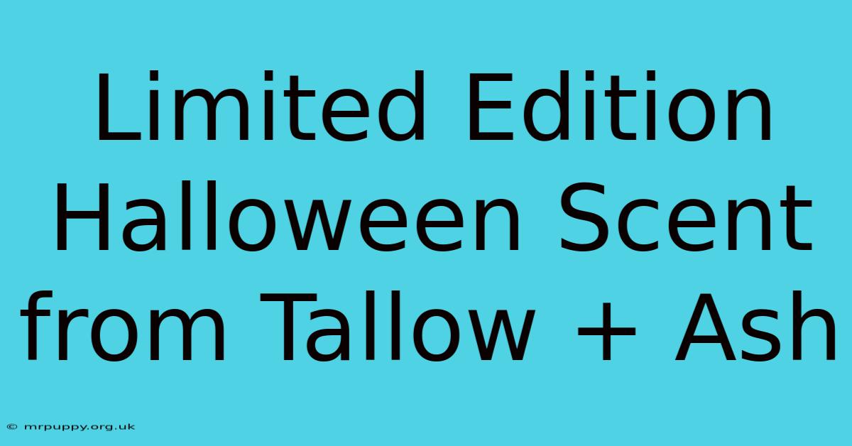 Limited Edition Halloween Scent From Tallow + Ash 