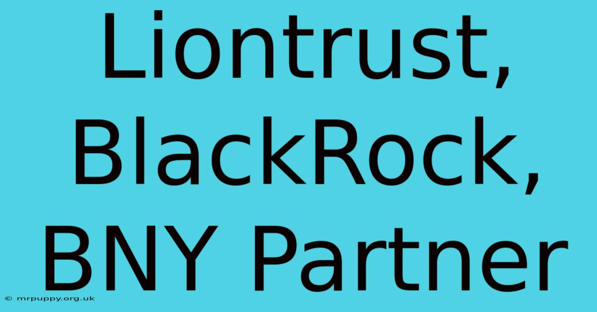 Liontrust, BlackRock, BNY Partner