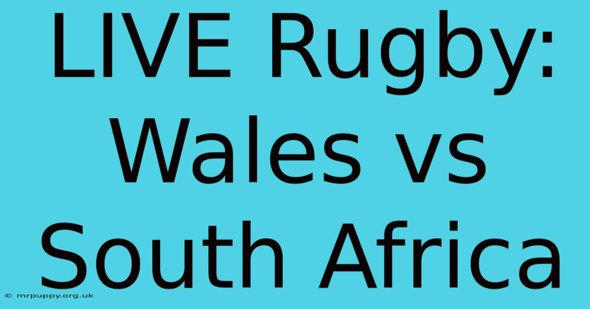 LIVE Rugby: Wales Vs South Africa