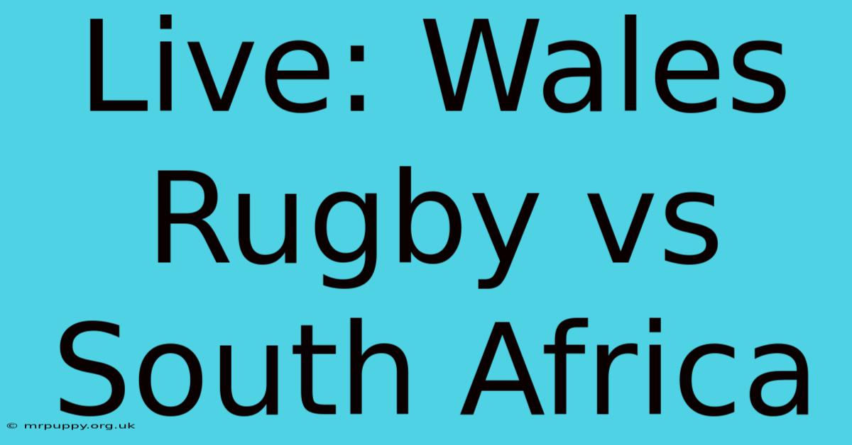 Live: Wales Rugby Vs South Africa