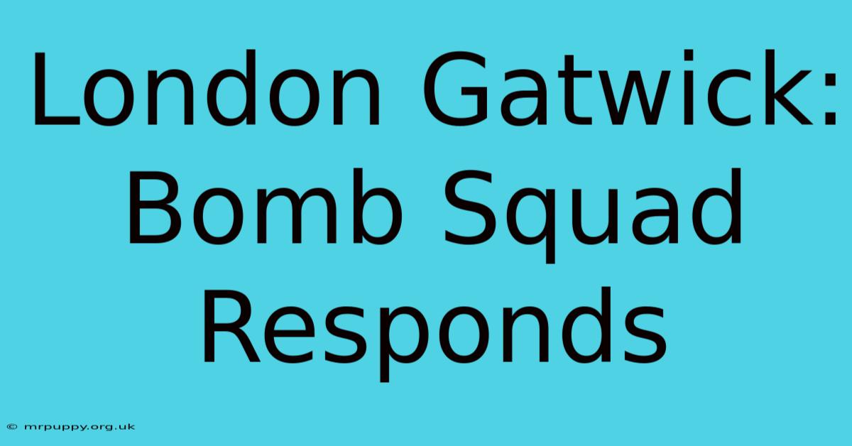 London Gatwick: Bomb Squad Responds