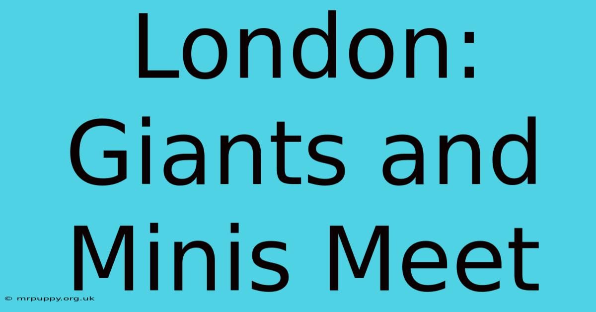 London: Giants And Minis Meet