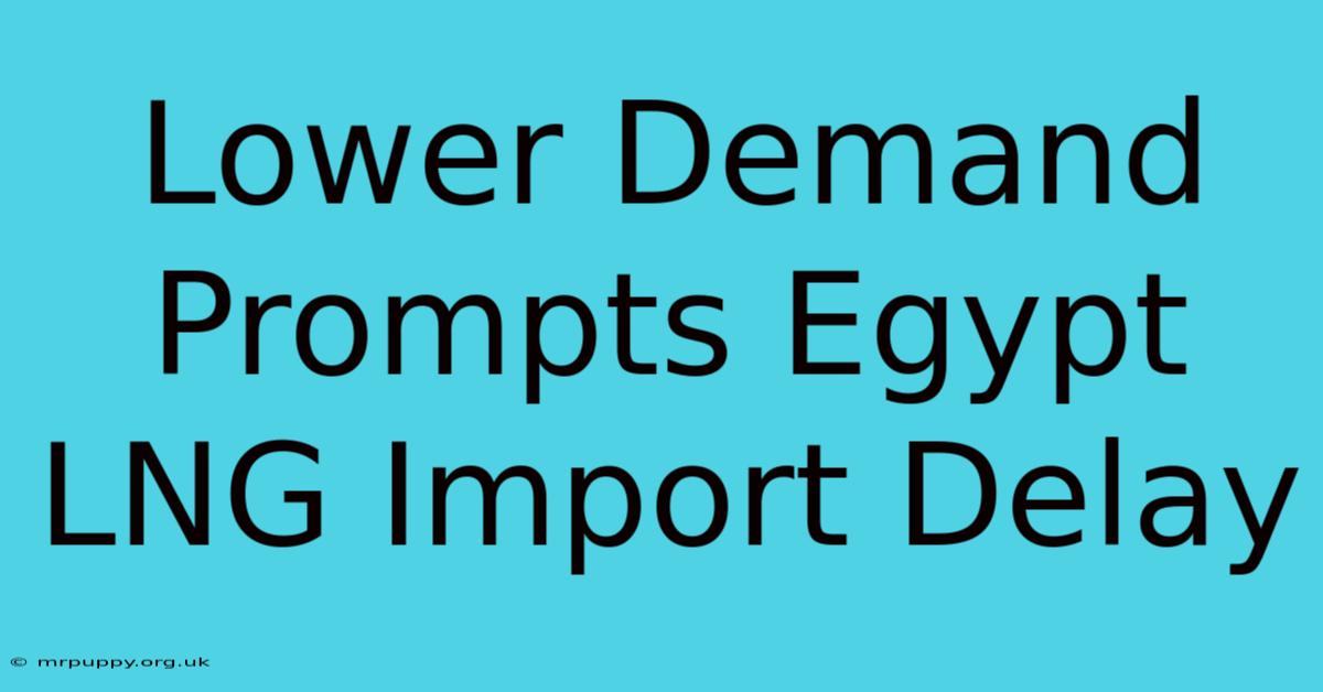 Lower Demand Prompts Egypt LNG Import Delay