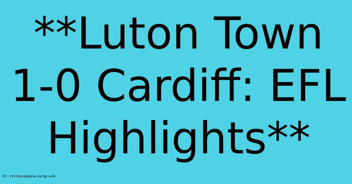 **Luton Town 1-0 Cardiff: EFL Highlights**