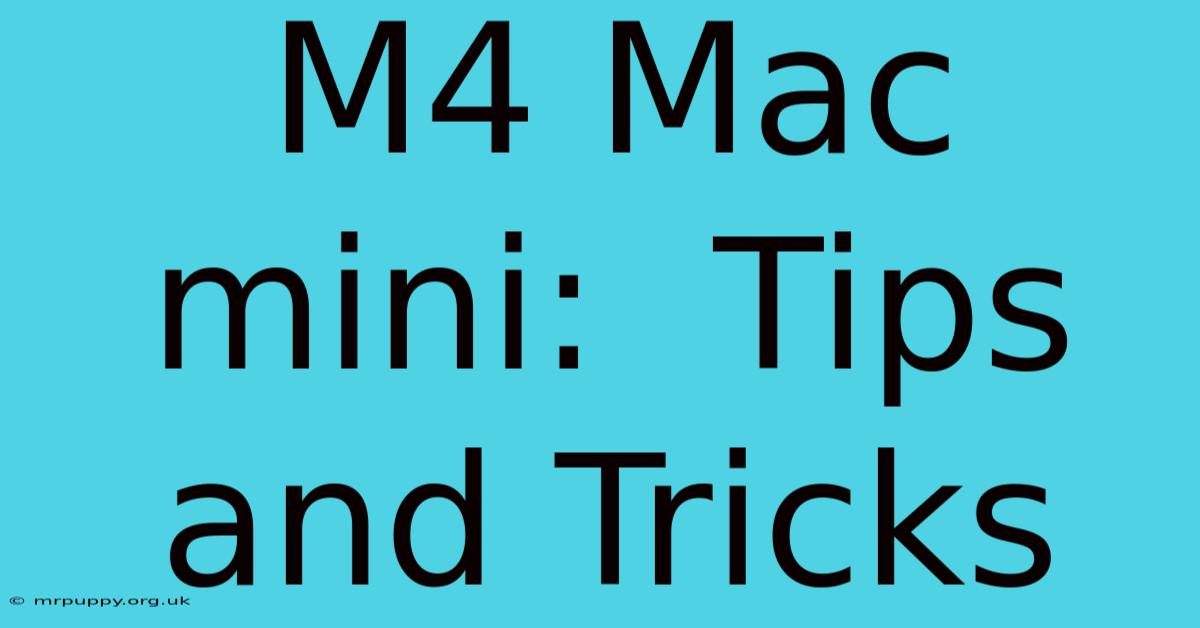 M4 Mac Mini:  Tips And Tricks