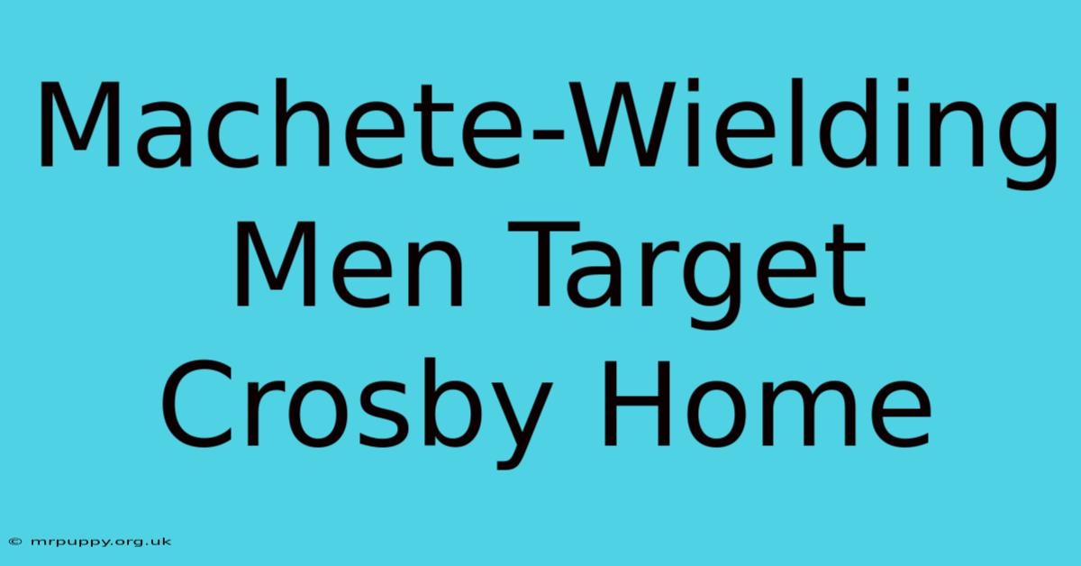 Machete-Wielding Men Target Crosby Home