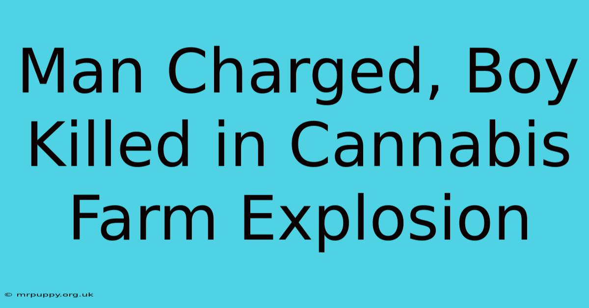 Man Charged, Boy Killed In Cannabis Farm Explosion