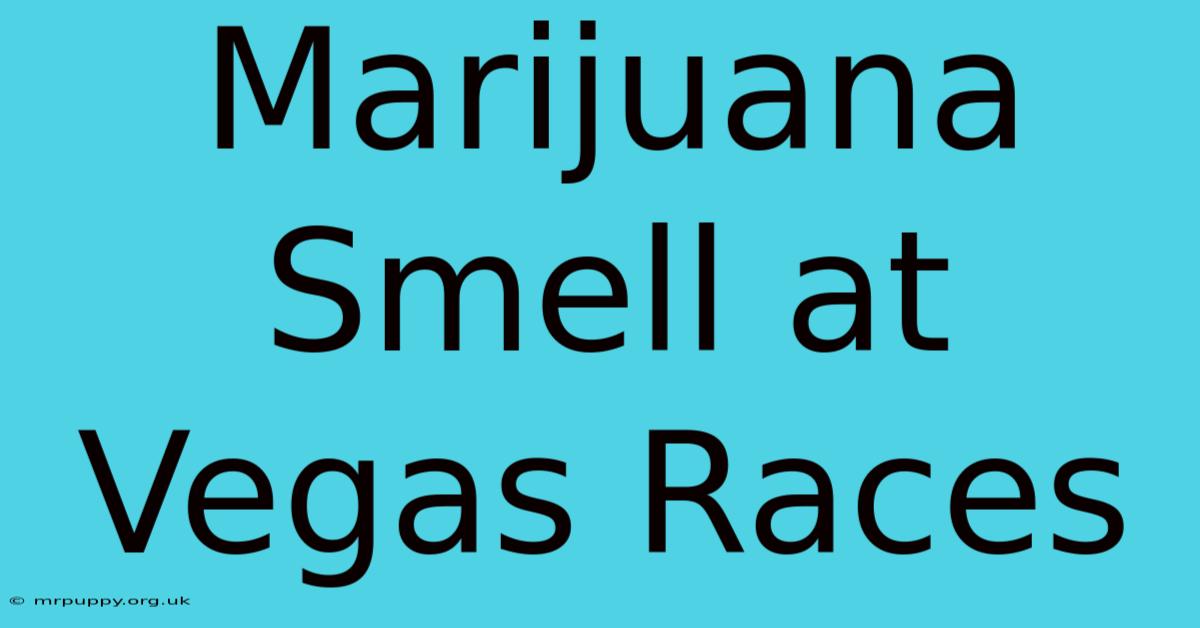 Marijuana Smell At Vegas Races