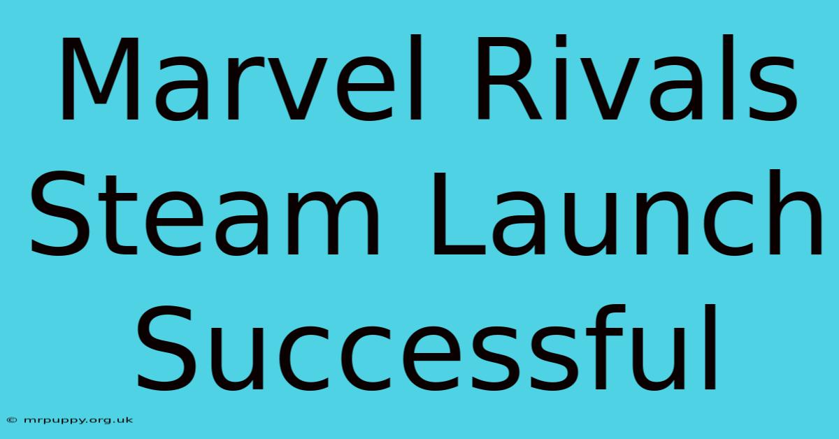 Marvel Rivals Steam Launch Successful