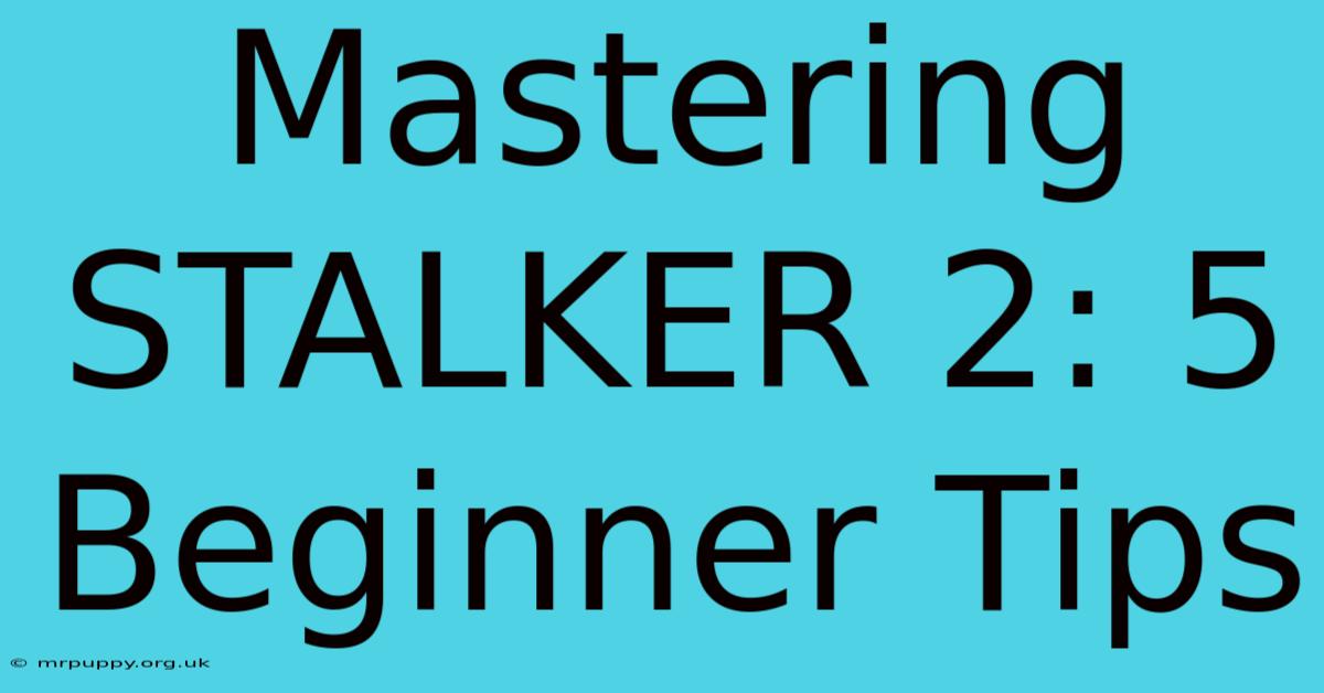 Mastering STALKER 2: 5 Beginner Tips