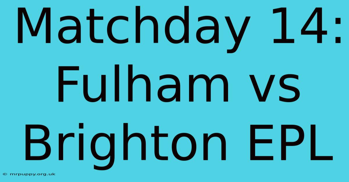 Matchday 14: Fulham Vs Brighton EPL