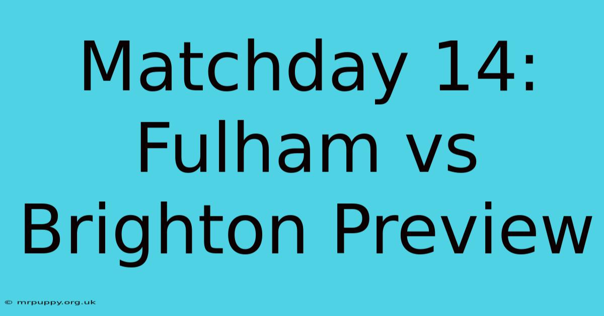 Matchday 14: Fulham Vs Brighton Preview